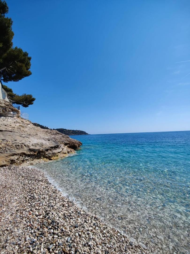 Le Coq Massolin Roquebrune-Cap-Martin Dış mekan fotoğraf