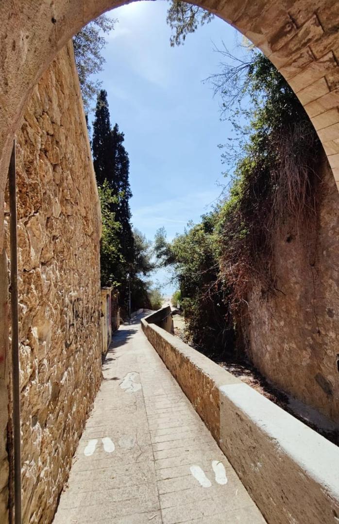 Le Coq Massolin Roquebrune-Cap-Martin Dış mekan fotoğraf